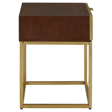 Dark Brown Shagreen Top Console Table with One Storage Drawers and Gold Finish Iron Frame, Kempton