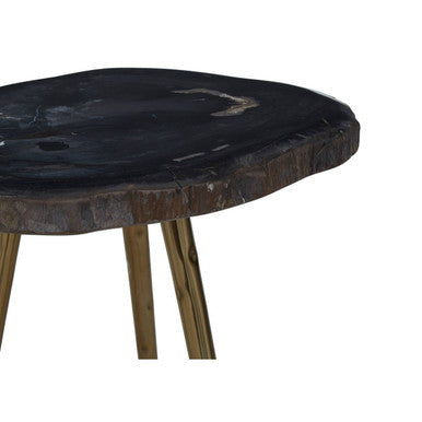Brown Petrified Wood Top Side Table with Brass Finish Angular Legs, Relic
