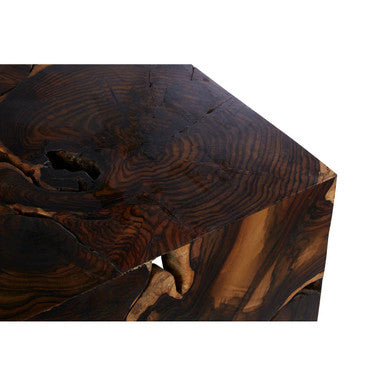 Batam Snorkeling Root Coffee Table