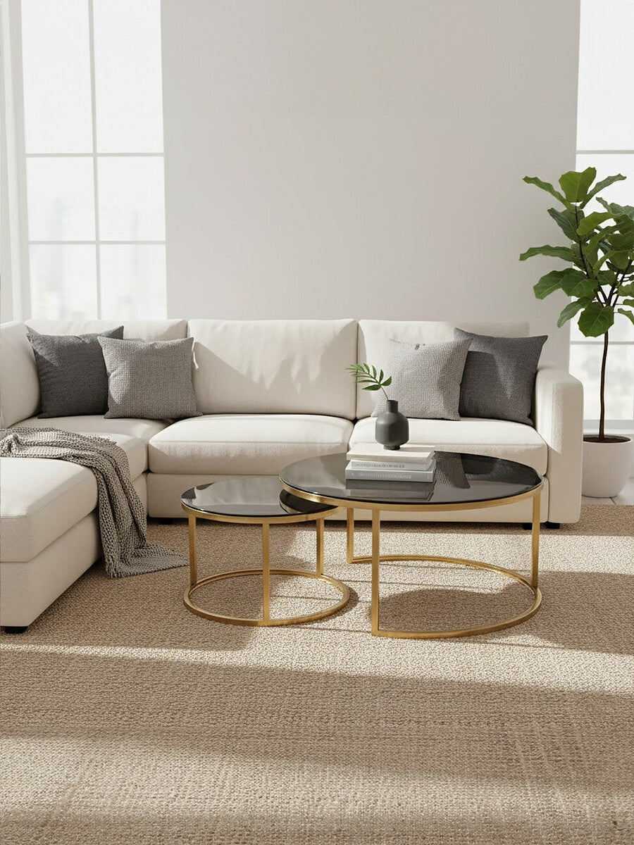 Set of 2 Black Tinted Glass Round Tops Nesting Coffee Tables with Brushed Gold Stainless Steel Frames, Alana
