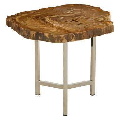 Natural Small Rustic Petrified Wood Top Side Table with Silver Finish Metal Frame, Relic