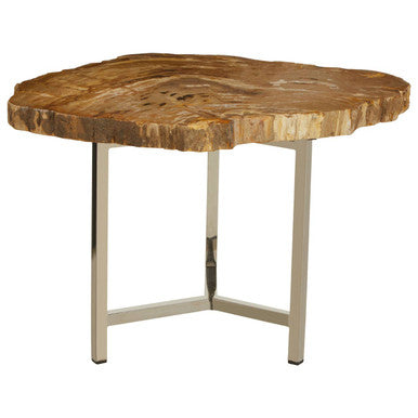 Natural Small Rustic Petrified Wood Top Side Table with Silver Finish Metal Frame, Relic