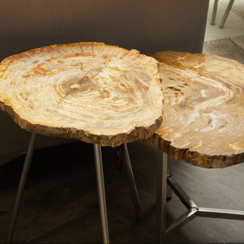 Natural Small Rustic Petrified Wood Top Side Table with Silver Finish Metal Frame, Relic