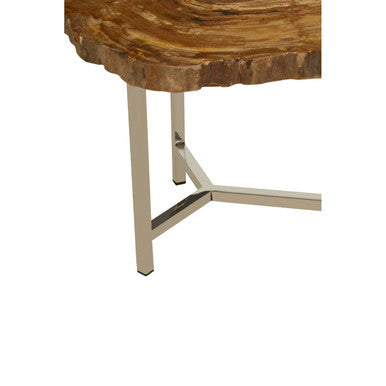 Natural Small Rustic Petrified Wood Top Side Table with Silver Finish Metal Frame, Relic