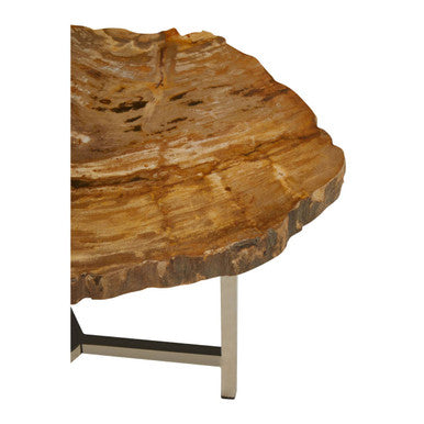 Natural Small Rustic Petrified Wood Top Side Table with Silver Finish Metal Frame, Relic