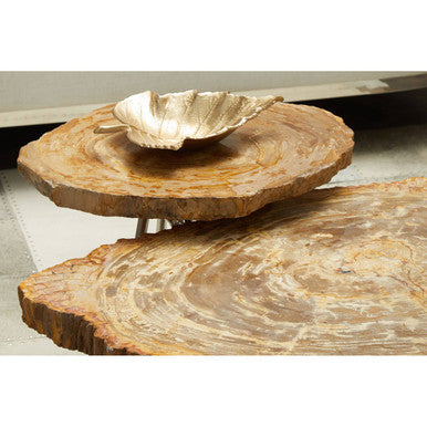 Natural Medium Rustic Petrified Wood Top Side Table with Silver Finish Metal Frame, Relic