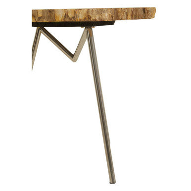 Natural Large Rustic Petrified Wood Top Side Table with Silver Finish Metal Frame, Relic