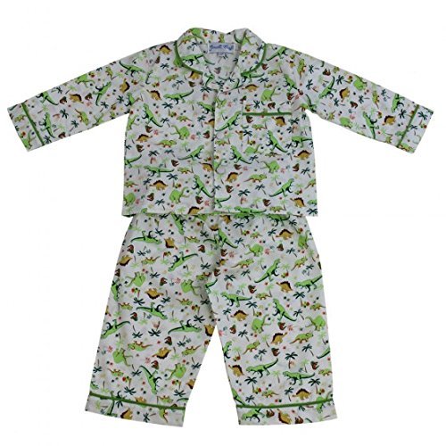 Powell craft Boys Pyjamas - Dinosaur design (2-3 years)