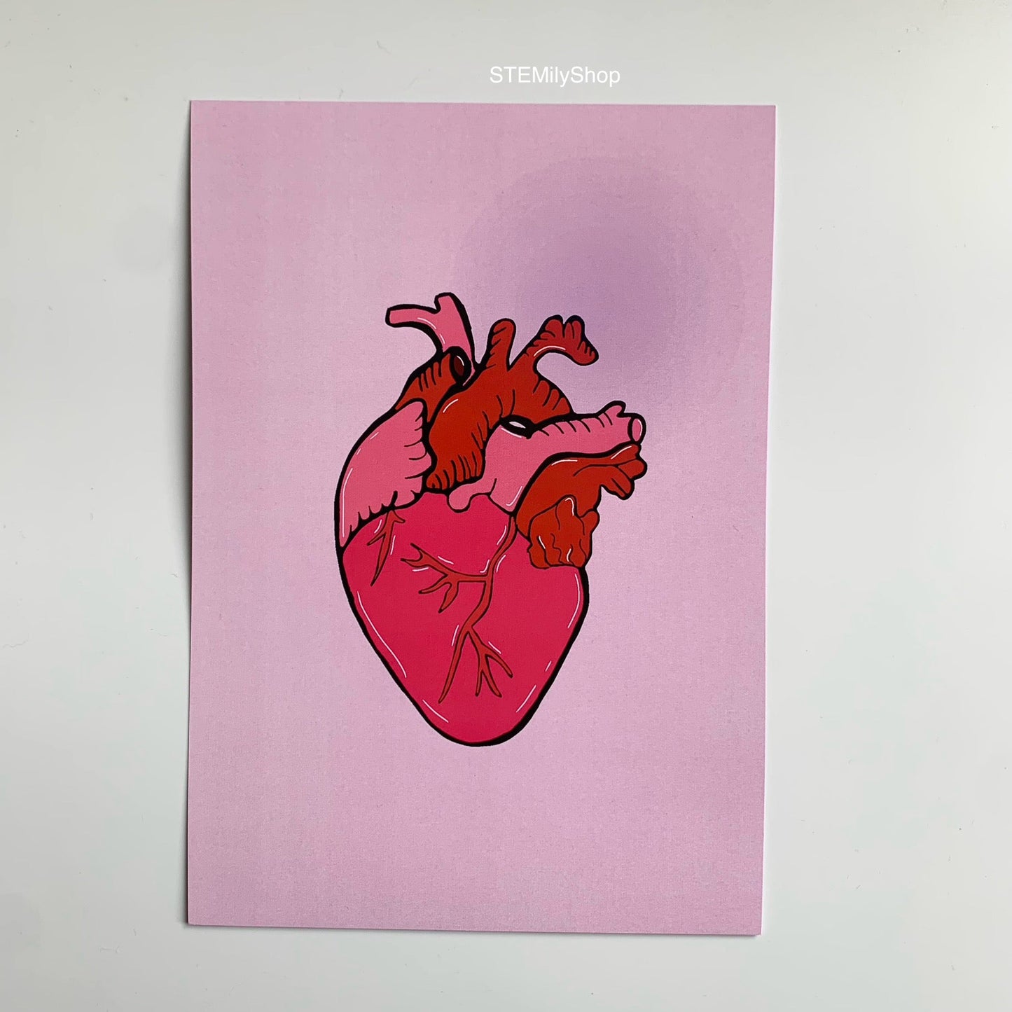 Pink and red anatomical heart hand drawn art print in A5 or A4
