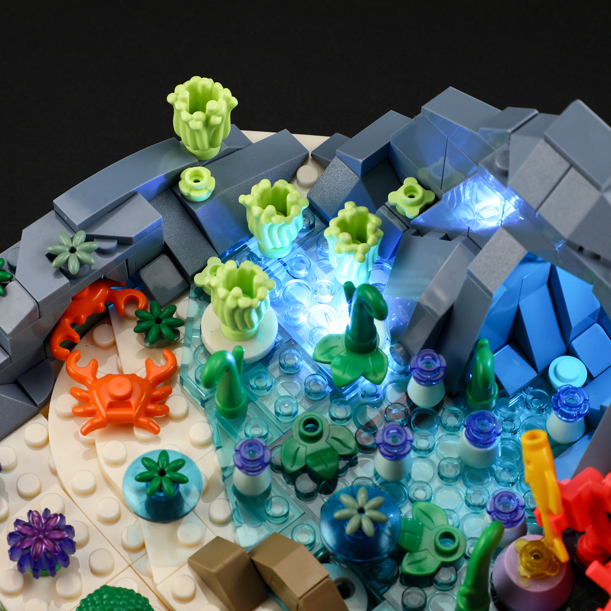 LUMIBRICKS - FUNWHOLE Turtle Reef Dream F9072