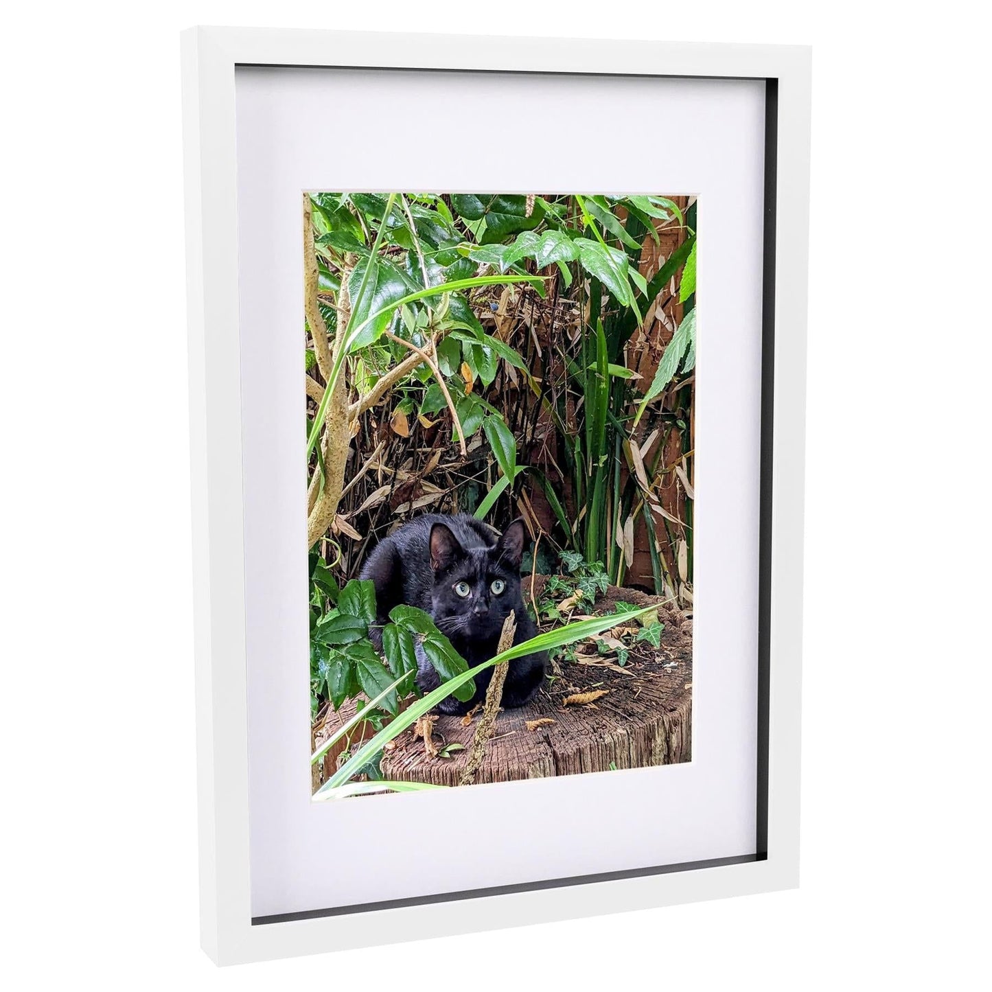 A3 (12" x 17") 3D Box Photo Frame with A4 Mount