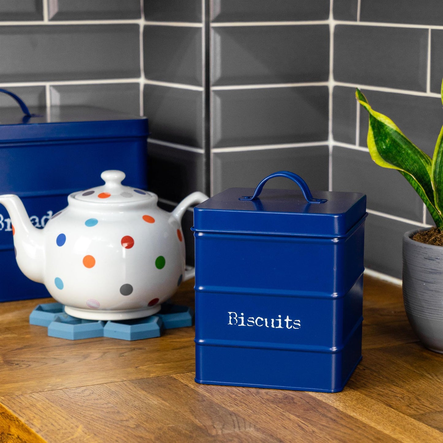 Vintage Metal Biscuit Tin