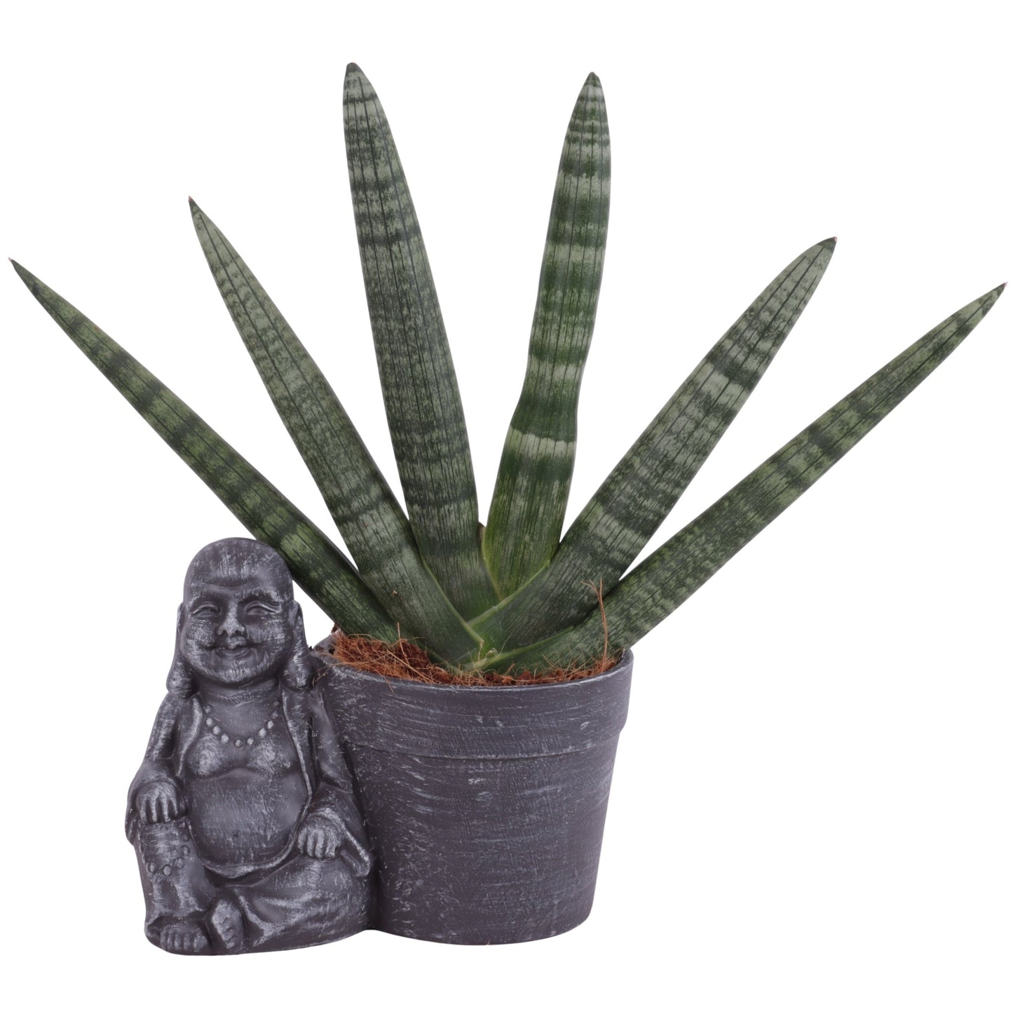 Sans Cyl Handshake Keramiek Buddha