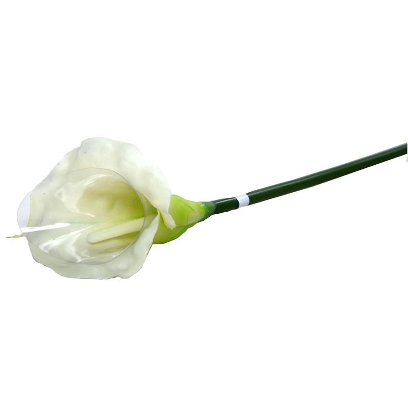 Medium Calla Lily Cream &amp; Green