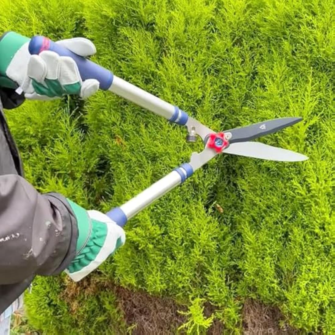 Spear & Jackson 8120RS Razorsharp Telescopic Hedge Shears, Blue