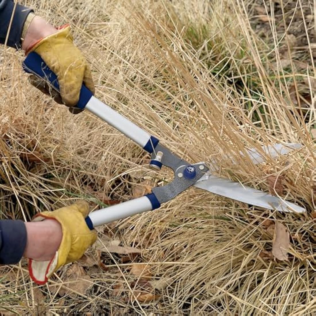 Spear & Jackson 8110RS Razorsharp Notched Hedge Shear, Blue