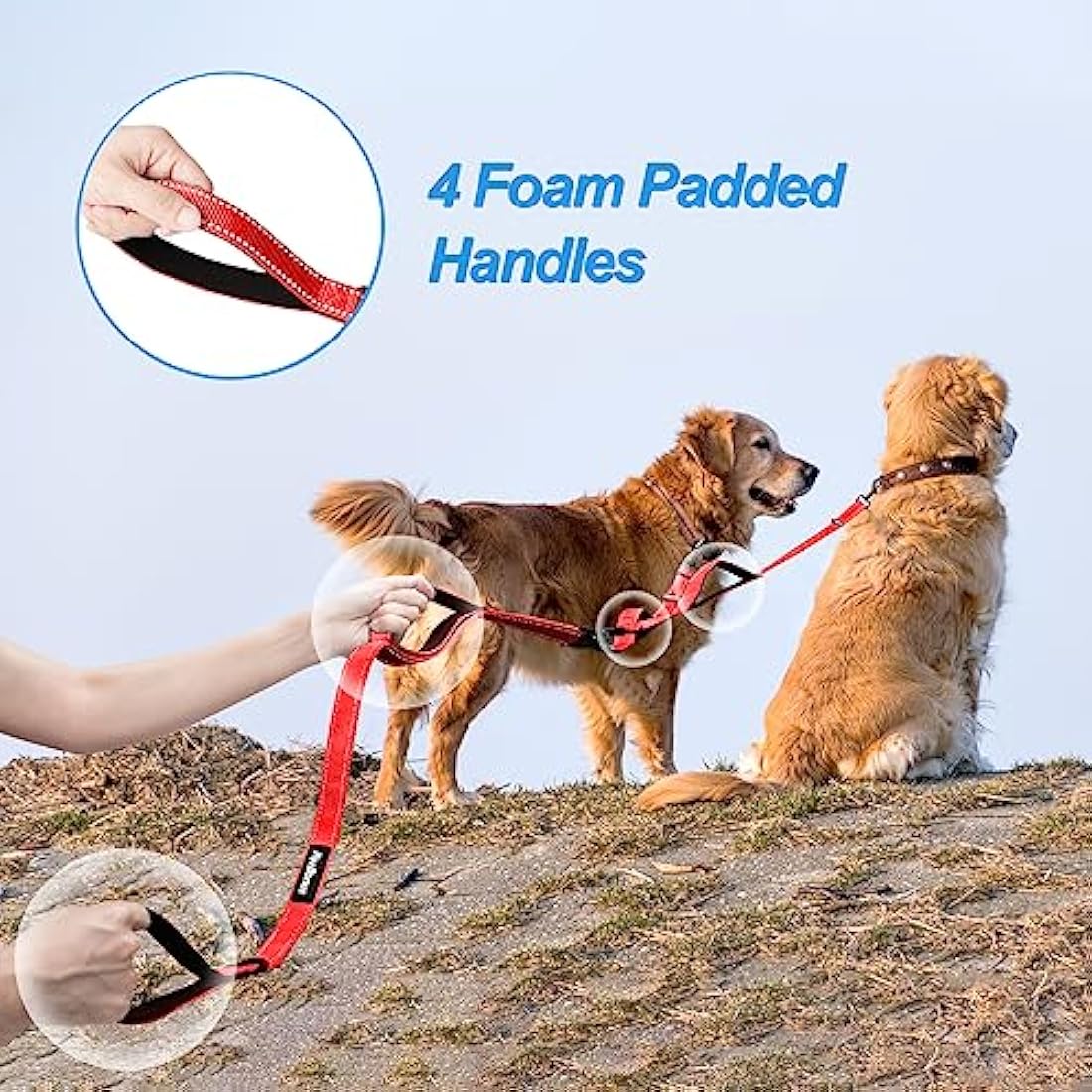 PetBonus Double Dog Leash, No Tangle Dual Leash, Reflective Walking Training Lead, 4 Comfortable Padded Handles for 2 Dogs with Collapsible Bowl and Waste Bags (Red, Large)