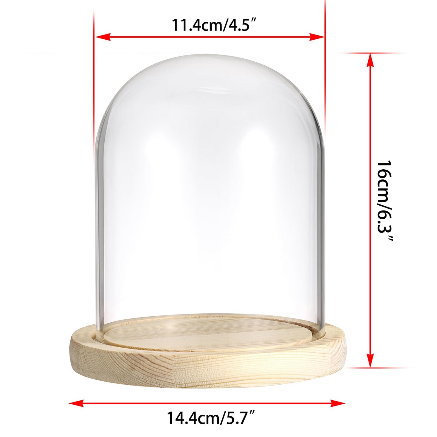 SUMNACON Glass Display Cloche Dome with Solid Wooden Base, 11.4*15cm