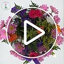 Homeland Florists Pink Mixed Fresh Flowers Delivery Next Day Prime UK, Stunning Floral Bouquet, Beautiful Birthday Present or Thank You Gift