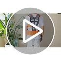 Universal Adjustable Strimmer Harness Padded Trimmer Shoulder Strap Comfort Double Shoulder Harness Strap Nylon Strimmer Lawn Mower Belt Mower Grass Trimmer for Brush Cutter Grass Garden Trimmer