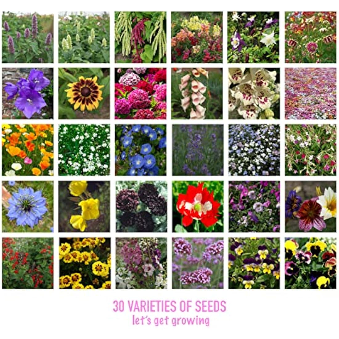Scott&Co. Flower Seed Variety Pack - 30 Different Varieties of Flower Seeds to Grow Your Own. Butterfly and Bee Attracting, Grow Indoor and Outdoor. Mother's Day Gifts for Women and Men.
