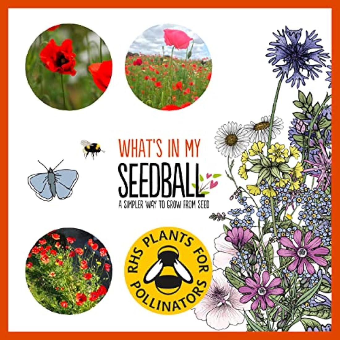 SEEDBALL Poppy Seed Bombs – 100 Seed Balls Per Pack | Bursting with Beautiful Red Poppy Flowers | Clay Protected Seed Bomb for Bees, Butterflies, Birds & Other Garden Wildlife