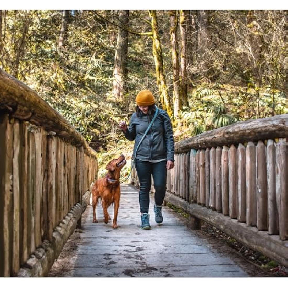Quantum V2 6-in-1 Dog Leash, Multi-Use Dog Lead for Walking & Running, Adjustable, Hands-Free Option, Violet