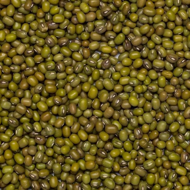 Wholefood Earth Organic Mung Beans 3kg GMO Free | Vegan | High Fibre | High Protein | Certified Organic