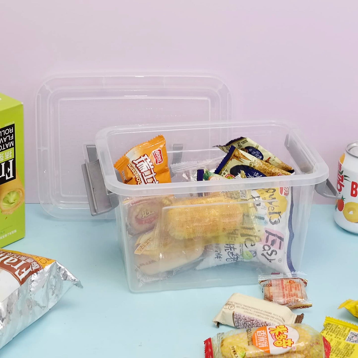 Hespama 6 Pack 3 L Small Storage Boxes with Lids, Clear Lidded Storage Box