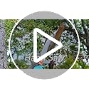 Walensee Pole Saws for Tree Trimming 426cm Lightweight Manual Stainless Steel Extension High Pole Pruning Pole Saw with Blade for Trimmer Branches Pole Cutter Pole Pruner at Forestry Yard Garden Patio