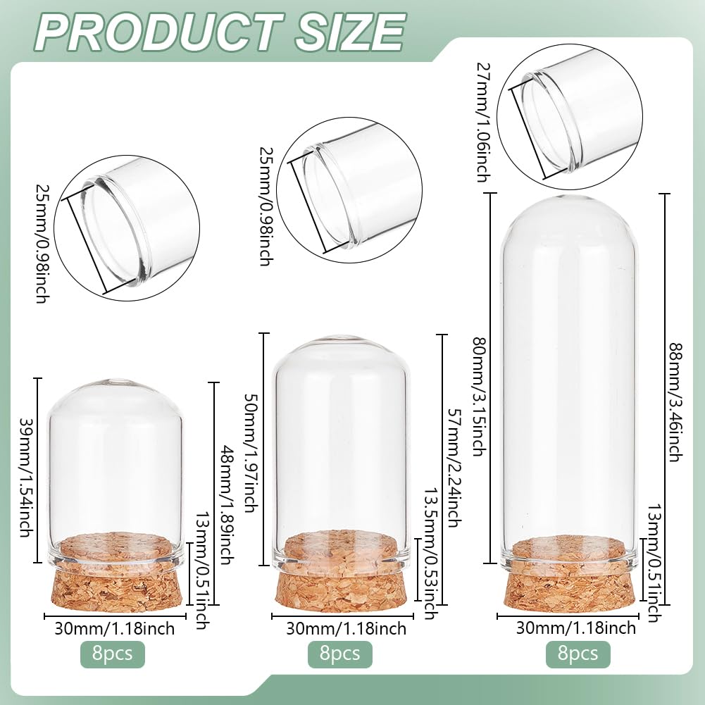 BENECREAT 24Pcs 3 Size Small Glass Display Dome Cloche, Glass Display Dome with Cork Base