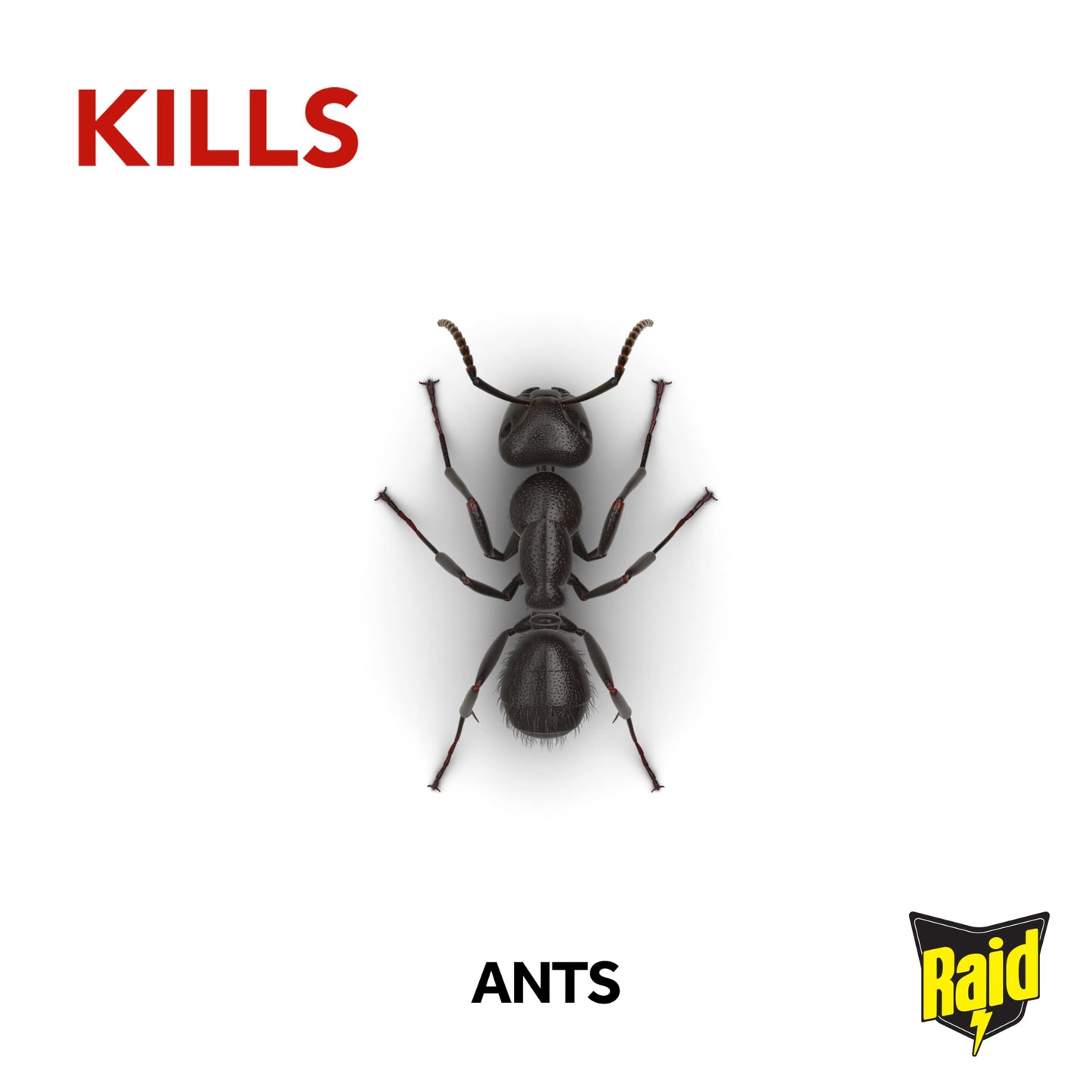 Raid Ant Bait Station, Long Lasting Ant Killer for Indoor and Outdoor Use, Destroys Nests, Pack of 12
