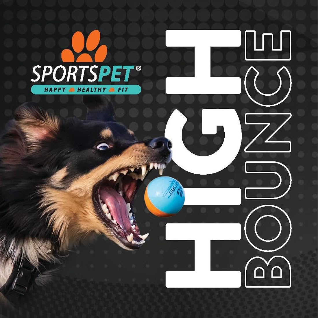 SPORTSPET High Bounce Natural Rubber Dog Balls (6 Pack High Bounce Smoothie) (60mm)