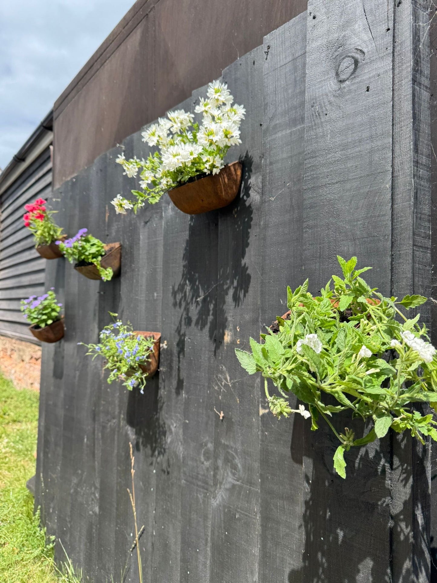 Vintage Rusty Metal Wall Mounted Planter / Herb Planter Plant Pot Fence Display