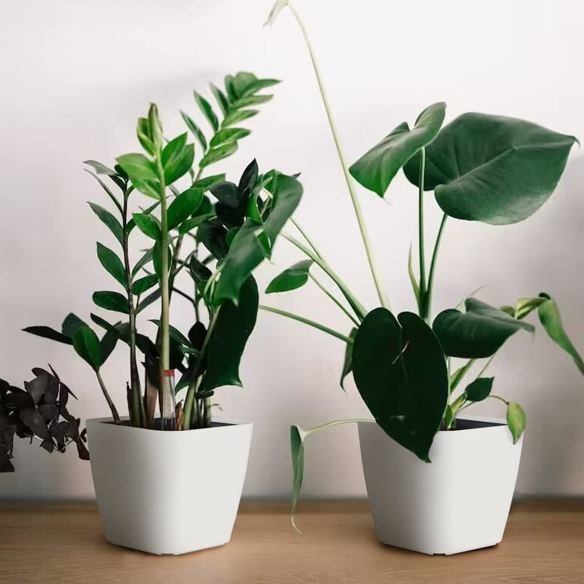 CPROSP 6 x Self-Watering Pot with Water Level Indicator, Herb Pot Self-Watering 13.7 x 13.5 cm, Flower Pot Water Storage with Pot-in-Pot System,