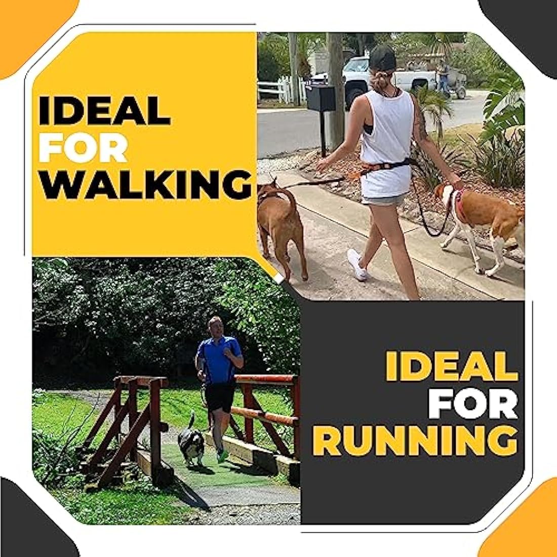 Barkswell Hands Free Dog Lead for 2 Dogs - Running Lead for Two Dogs/Dog Walking Belt for Multiple Dogs
