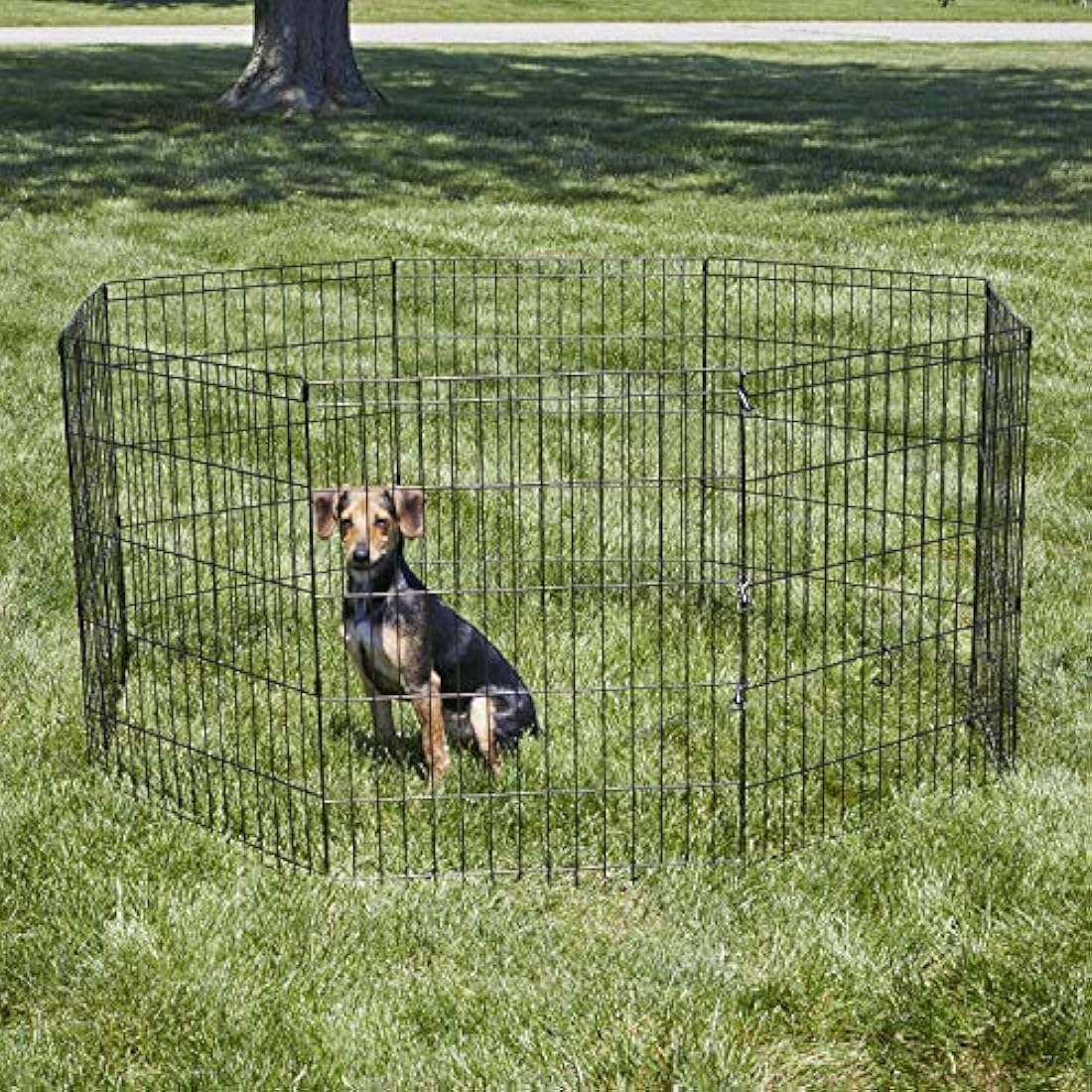 New World Folding Metal Dog Exercise Pen and Pet Playpen with No Door, Includes Grounding Stakes and Provides 1.5 Meters of Play Space, 76 cm Tall, Black E-Coated, B552-30