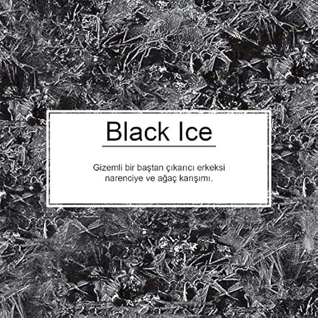 Little Trees Air Freshener Tree MTR0004B Black Ice Fragrance For Car Home Boat Caravan - 24 Pack