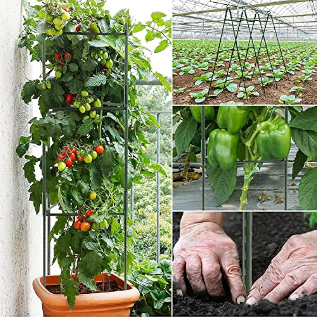 SZMDLX 3 Pack Tomato Cage, 48 Inches Large Tomato support Adjustable Green Sturdy Garden Plant Support Stake Garden Trellis Vertical Climbing Plants Support for Vegetables, Flowers, Fruit Grow