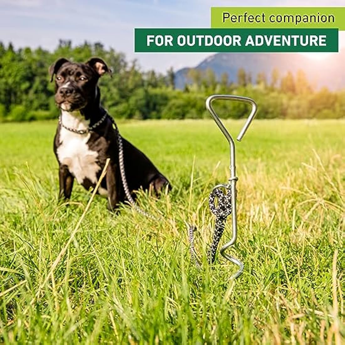 Windhager 07134, Ground Anchor, Peg Lead, Dog Stake, Spiral for Garden, 41 cm x 8 mm, galvanised, 4 x 8,5 x 41 cm