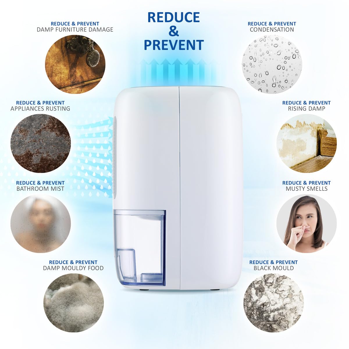 NETTA Dehumidifier 800ml Mini Air Dehumidifier for Damp, Mould, Moisture, Portable and Ultra Quiet for Home, Bathroom, Bedroom, Kitchen, Wardrobe,