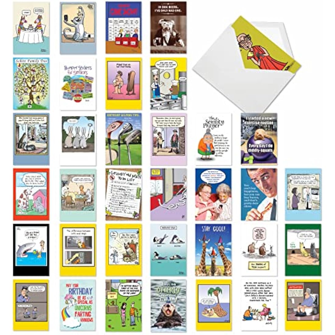 NobleWorks - Variety Pack of 36 Assorted Funny Birthday Cards Bulk Box Set w/Envelopes, Edgy Humor B-Day for Men, Women (36 Designs, 1 Each) - Birthday Favorites AC2911BDG-B1x36