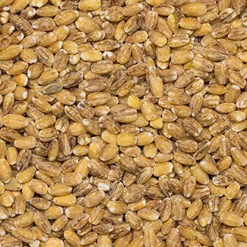 Wholefood Earth Pearl Barley 2 kg | GMO Free | High Fibre