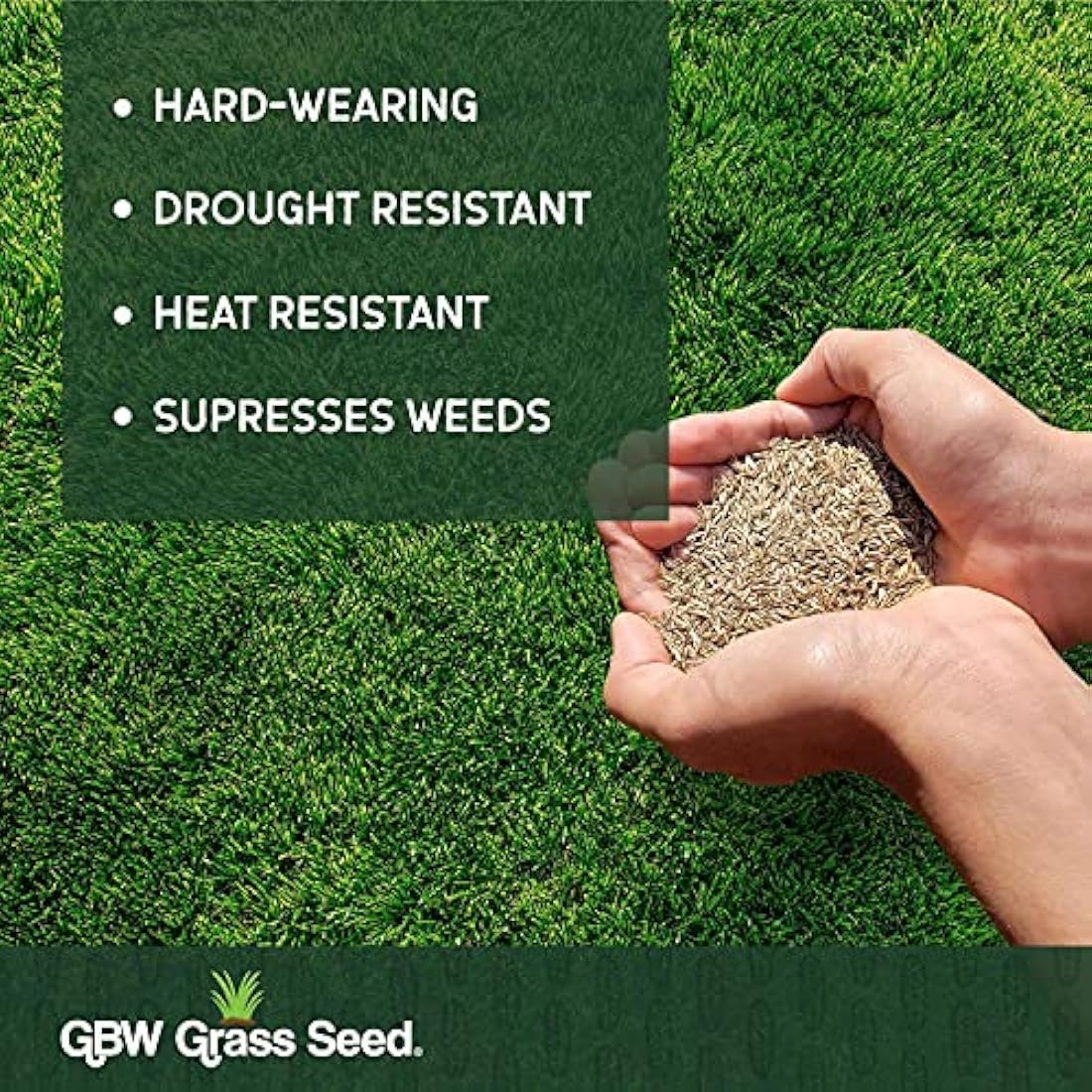 GBW Grass Seed 1kg - Covers up to 60 m2 (645 ft2) - Premium Quality Lawn Seed - Rapid Growth – Can Germinate as Quick as 10 days - Hard Wearing against Pet Urine - Tailored to UK Climate - 100% Refund
