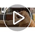 Tapo C225 2K 4MP QHD Indoor Camera, Pan/Tilt Security Camera, HDR Live View, 360°Panoramic View, CCTV Camera No Monthly Fee, AI Detection, Two-way Audio, Night Vision, Works with Alexa & Google