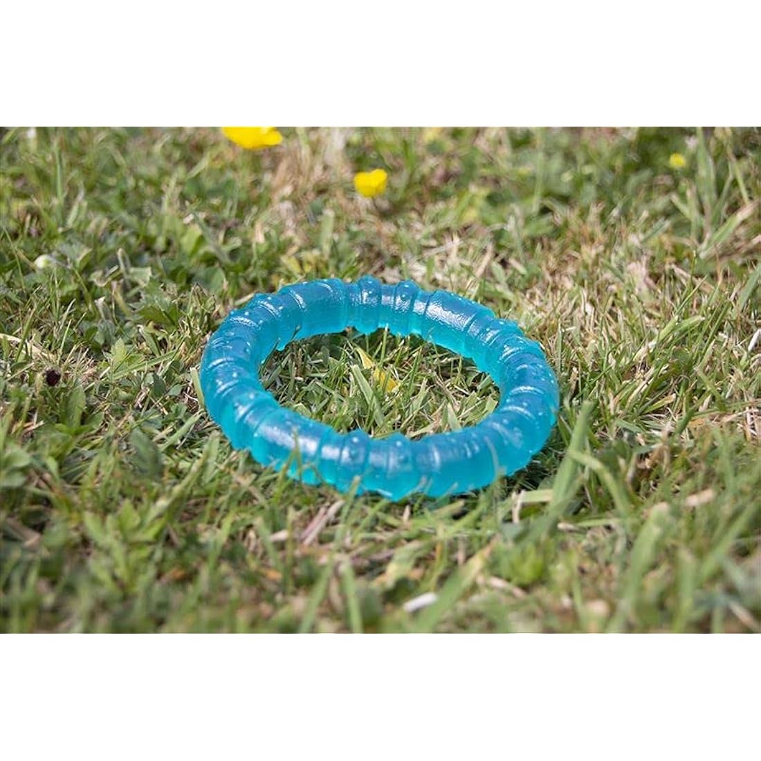 Rosewood BioSafe Puppy Ring - Hygienic Chew Toy for Puppies, Antimicrobial, Soothes Teething, Mint Scented, Promotes Dental Health, Suitable for Small Dog Breeds, Blue