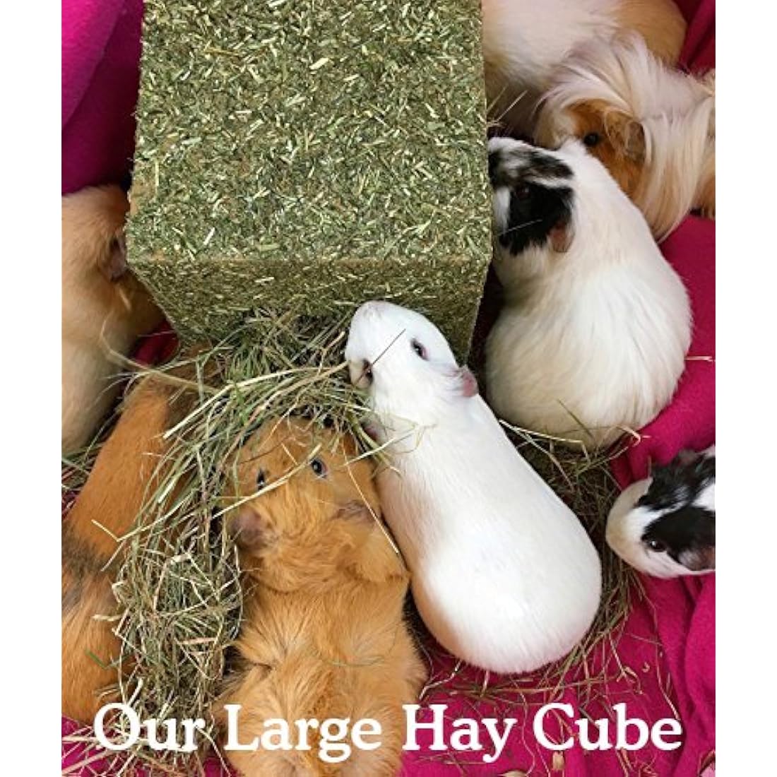 Rosewood Naturals I Love Hay Forage Cube, Small Animal Treat and Gnaw Toy for Rabbits, Guinea Pigs, Chinchillas, Degus, Hamsters, Gerbils, Mice and Rats - Large