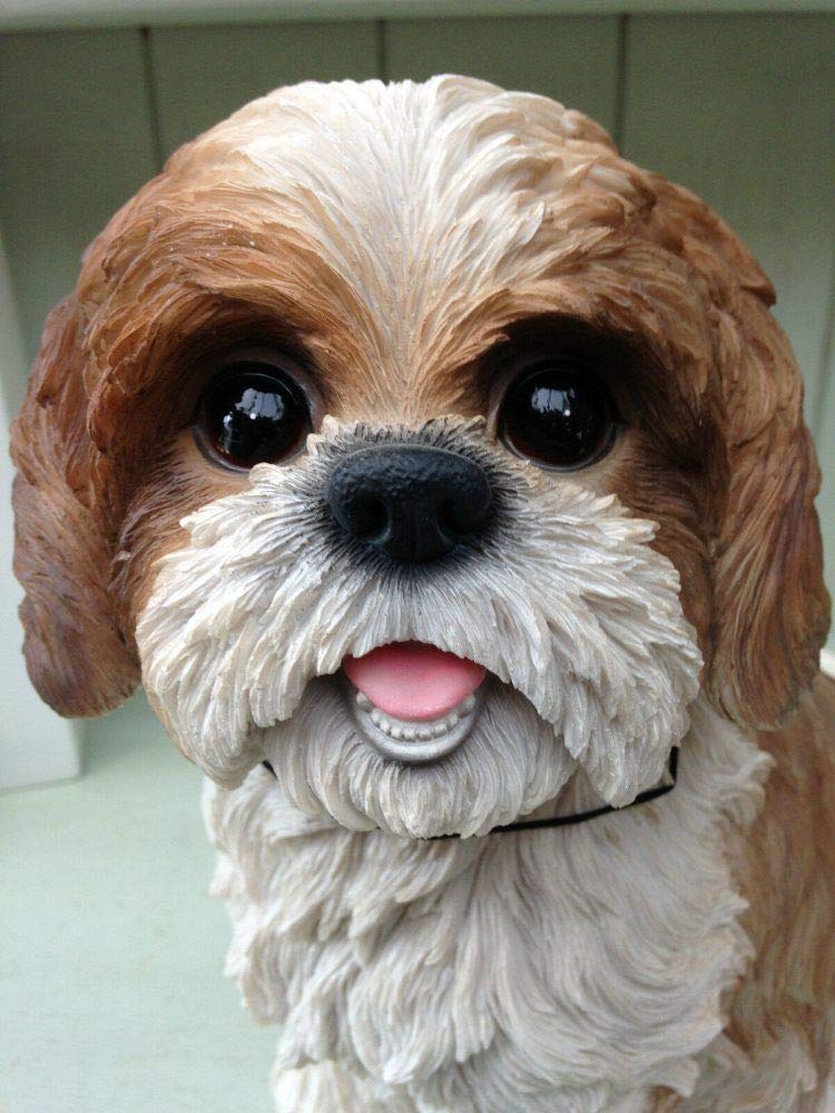 Vivid Arts Sitting Shih Tzu Dog Resin Ornament - Brown/White