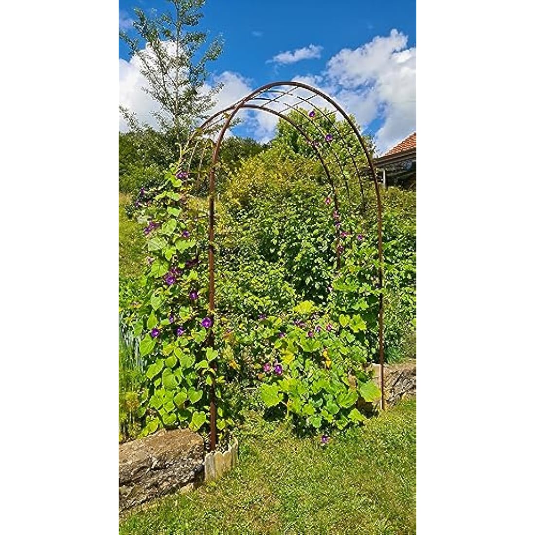 Louis Mill 3006Arch For Climbing Plants Metal Antique Iron 180x 50x 250cm