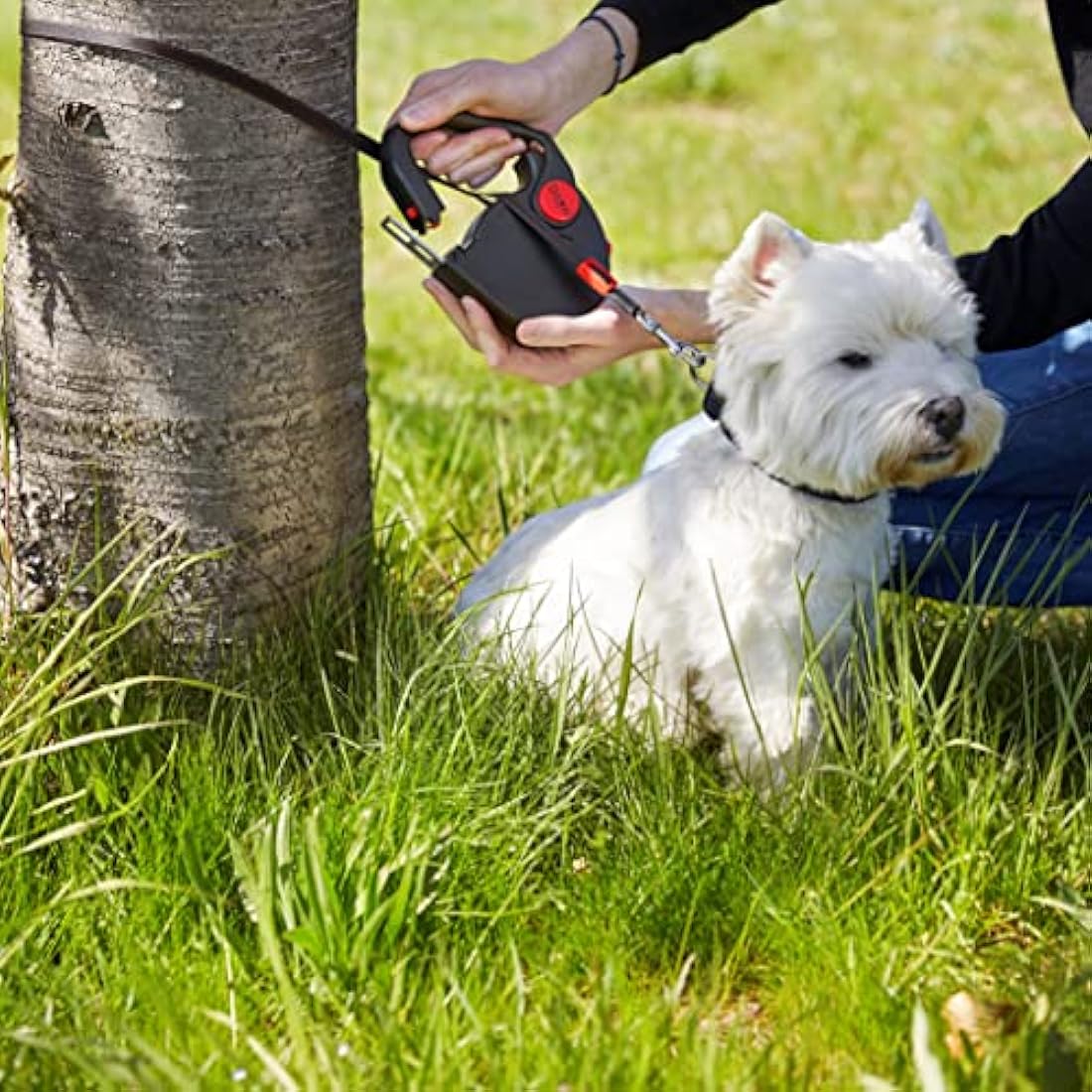 Dogxi Dog Lead Multifunctional Extendable Retractable Dog Lead 5m Handle Opens For Easy Fastening Seatbelt Buckle For Safe Transport In The Car For Small And Medium-Sized Dogs